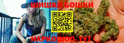 индика Будённовск