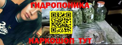 индика Будённовск