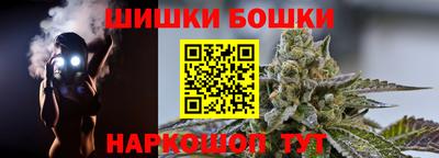 индика Будённовск