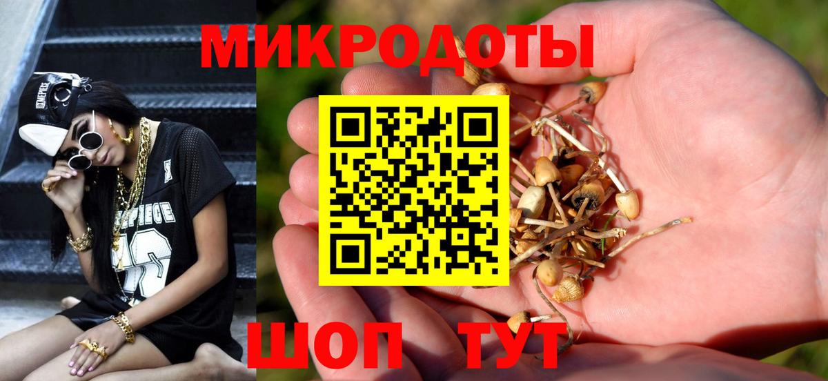 Галлюциногенные грибы Cubensis Курган